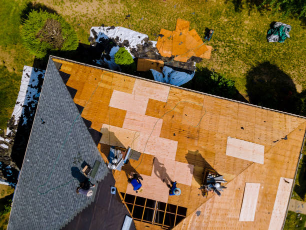 Best Roof Gutter Cleaning  in Muleshoe, TX